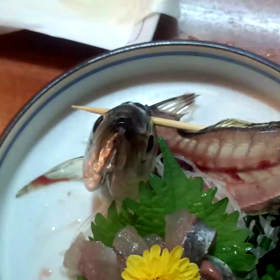 ある日のつまみの画像