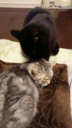なめなめ❤️の記事動画