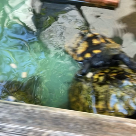 ご無沙汰です！の画像