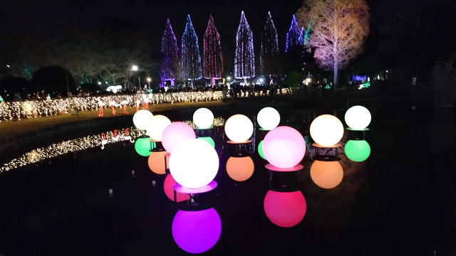 先生の休日〜足立区　光の祭典をみてきました〜の記事動画