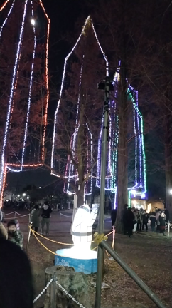 先生の休日〜足立区　光の祭典をみてきました〜の記事動画