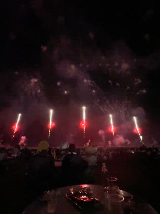 ド迫力の花火大会で落下物が・・・「東北未来芸術花火」の巻の記事動画