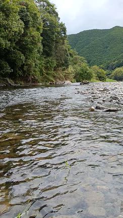 有田川 鮎釣り（20260905）の記事動画