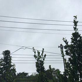 野鳥の楽園の画像