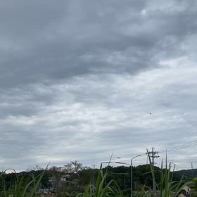 秋の気配？の画像