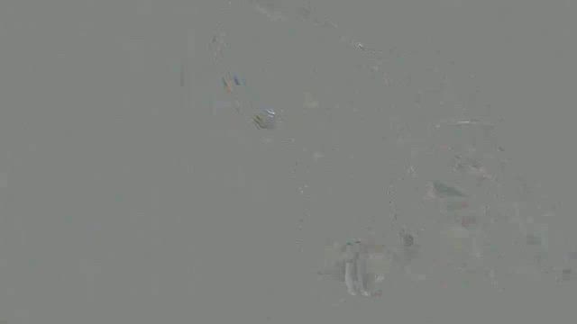 コっちゃんとお正月！の記事動画