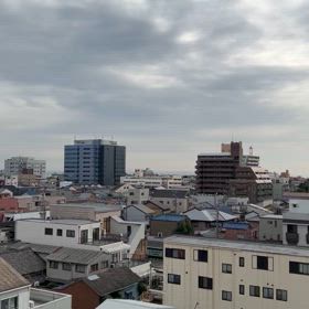 つがいの画像