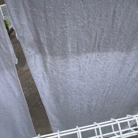最近のカエルたんの画像