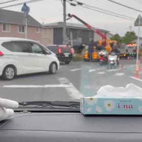 近所の小川  (Part 17)の画 像