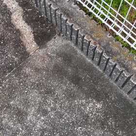 今日の○○の画像