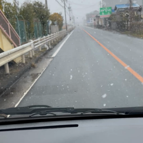 分店 近くの鳥(シーズン1-20)の画像