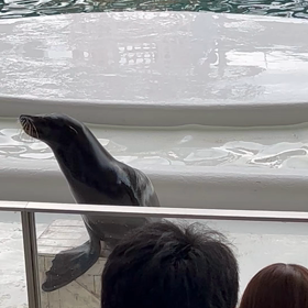 三連休(12)の画像