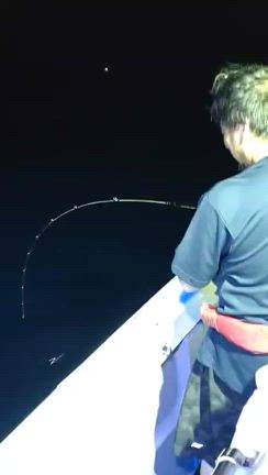 金沢沖イカメタル便の記事動画