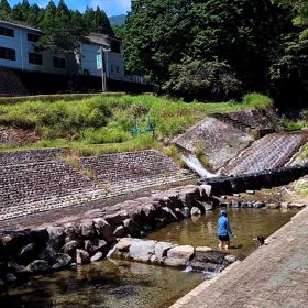 配信と再演希望と真夏の公園の画像