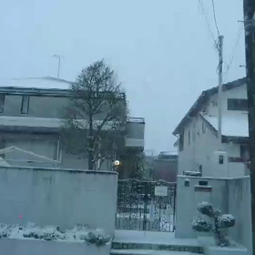 iSuperRichの画像