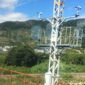 真昼間から呑んだくれ？の画像