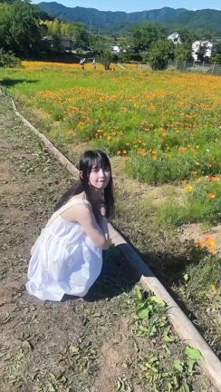 初夏の記事動画