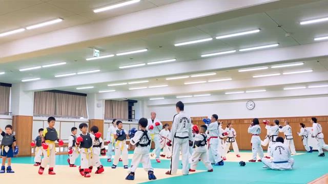 さまざまな道の記事動画