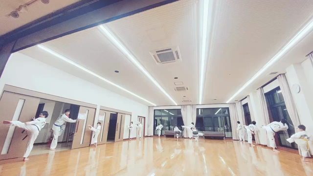 多様性の記事動画