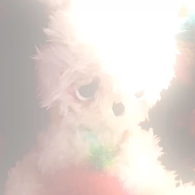 不安に支配されたらの画像