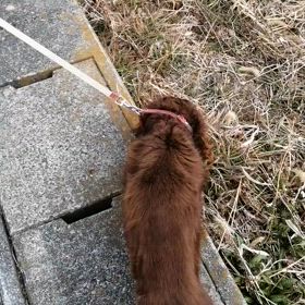 ライちゃん１８歳で〜す♬の画像
