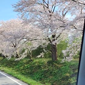 滋賀県甲良町ですの画像