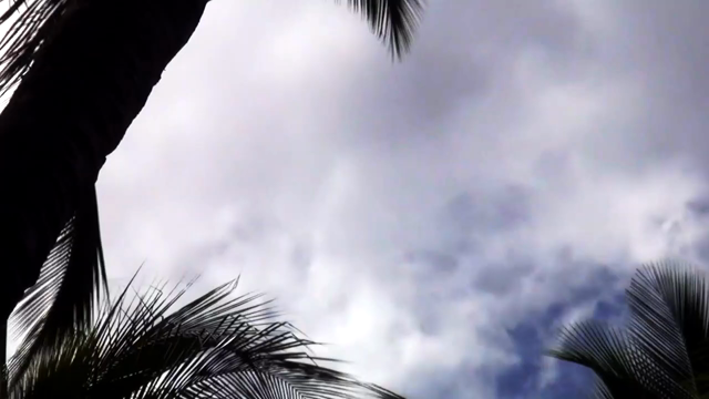 近況、、マウイ、、カリフォルニアの記事動画