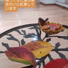 2024/11/19の画像