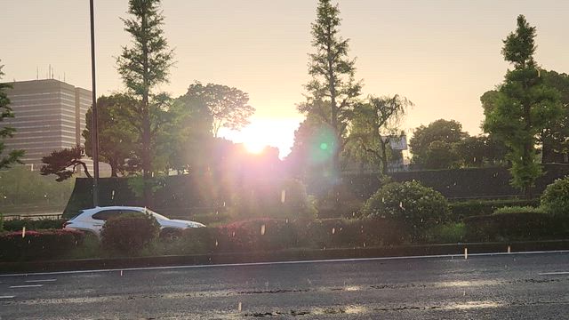 虹出る前、地下鉄１駅走ったよの記事動画