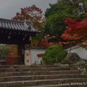 秋だ❗️京都へ紅葉を観に行こう❤️その2の画像