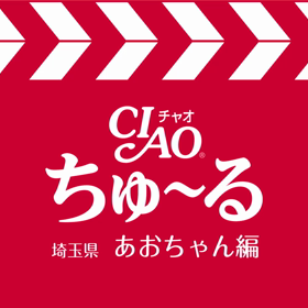 埼玉県あおちゃん編の画像