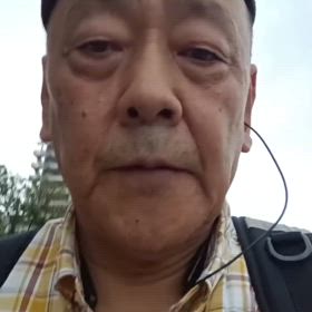 2025/06/11の画像