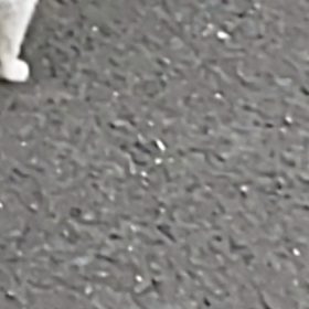 町ねこさん動画シリーズの画像