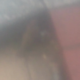 特別編:ことり動画の画像