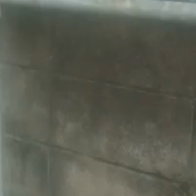しらゆきちゃん 動画シリーズの画像