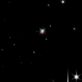 背中の柄見えた？の画像