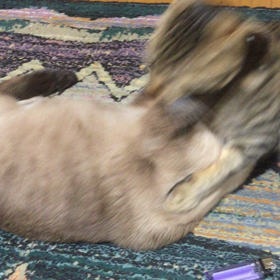 こんな日もあるの画像