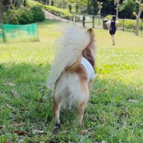 乳首ドリルすんのかいみたいな時間の画像