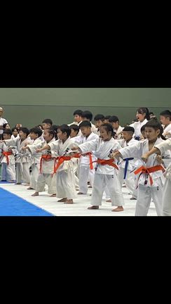 第42回全中国空手道選手権大会の記事動画