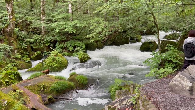 十和田神社と奥入瀬の記事動画