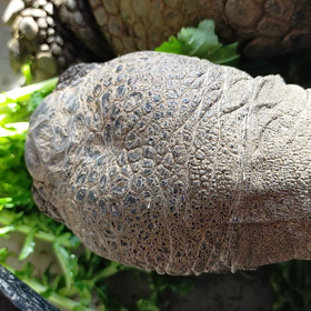 こんなに晴れているのにの画像