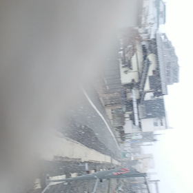 こんにちは(^-^)vがんちゃんです＼(^o^)／雪が降っとります。の画像