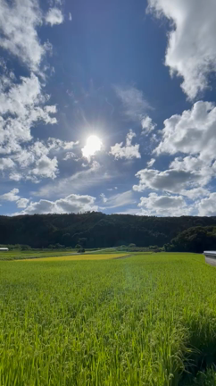 夏の空の記事動画