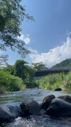 夏の川の記事動画