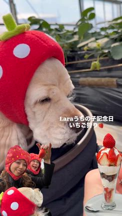 院長更新日の記事動画