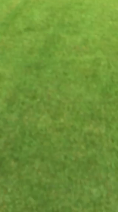 ゴルフについての記事動画
