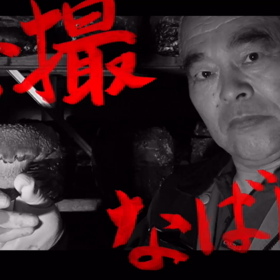 企業応援動画の画像