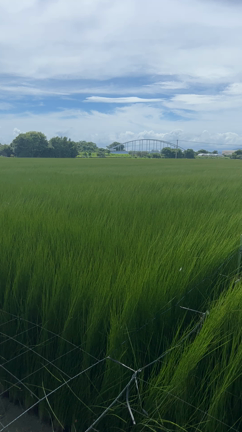 熊本県八代へ訪問してきましたの記事動画