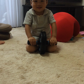 アブの画像