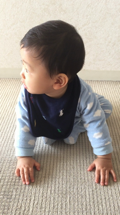 生後9ヶ月&新年会✨の記事動画